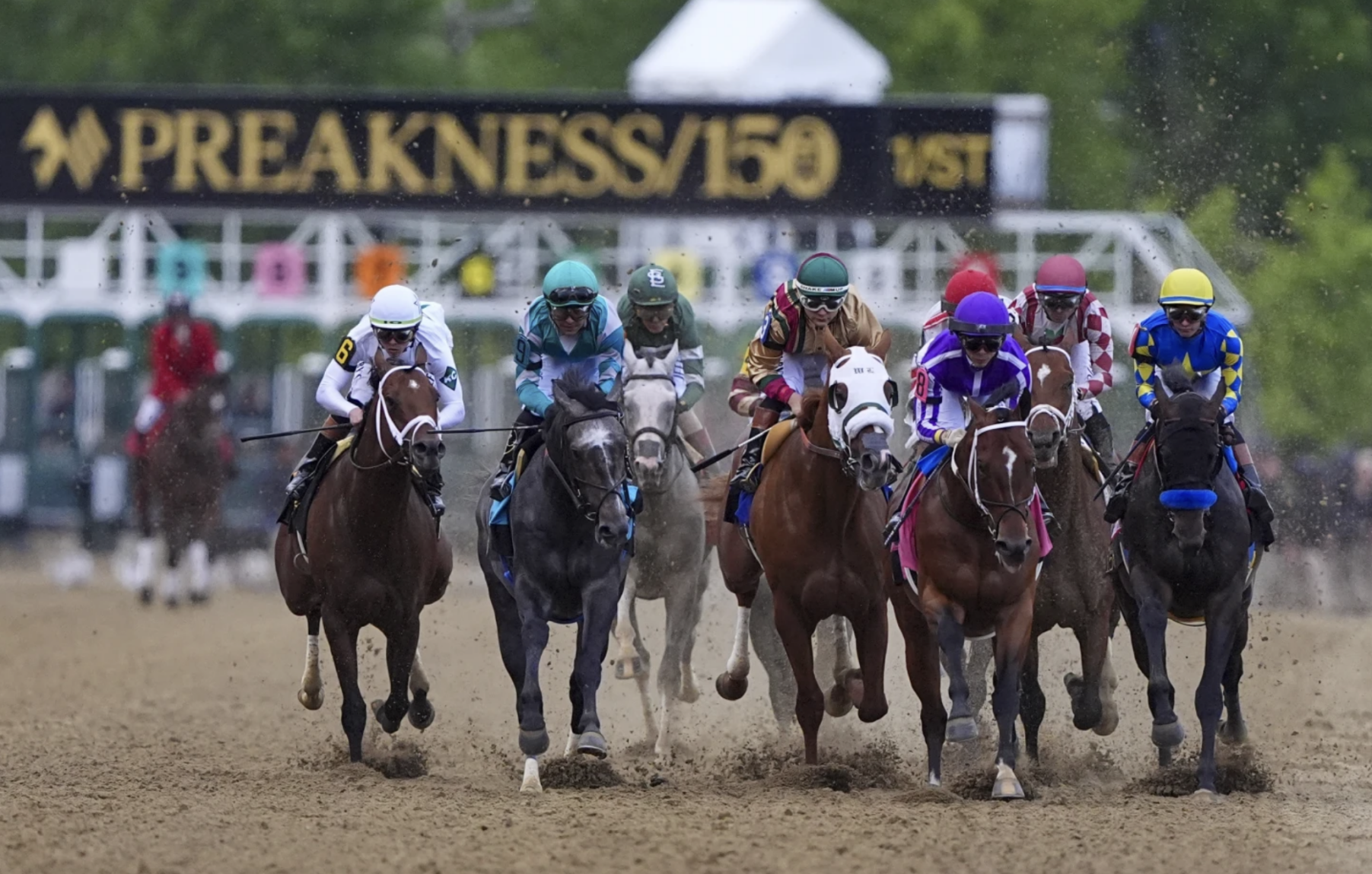 Asmussen on Journalism's wild Preakness ride: 'Quit riding him like a rented mule'